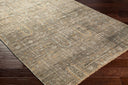 Reign REG-2302 Black / Brown Rug