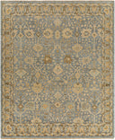 Reign REG-2312 Beige / Dark Brown Rug