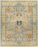 Reign REG-2314 Beige / Blue Rug
