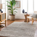 Reika REK-2301 Gray / Light Gray Rug