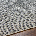 Reika REK-2302 Beige / Charcoal Rug