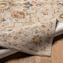 Reina REN-2303 Cream / Denim Rug
