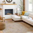 Reina REN-2310 Light Brown / Light Gray Rug