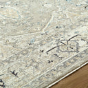 Reflection RFL-2302 Beige / Blue Rug