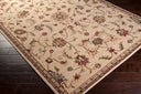 Riley RLY-5026 Beige / Black Rug