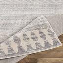 Roma ROM-2329 Charcoal / Light Gray Rug