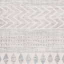 Roma ROM-2329 Charcoal / Light Gray Rug