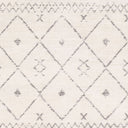 Roma ROM-2338 Charcoal / Gray Rug