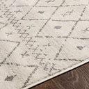 Roma ROM-2338 Charcoal / Gray Rug