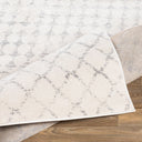 Roma ROM-2343 Light Gray / Medium Gray Rug
