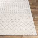 Roma ROM-2343 Light Gray / Medium Gray Rug