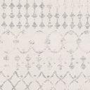 Roma ROM-2343 Light Gray / Medium Gray Rug