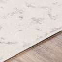 Roma ROM-2343 Light Gray / Medium Gray Rug