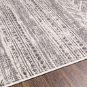 Roma ROM-2396 Charcoal / Gray Rug