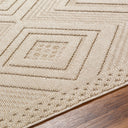 Rockport RPT-2308 Ivory / Tan Rug