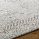 Rize RZE-2303 Rug