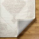 Rize RZE-2304 Rug