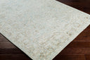 Shelby SBY-1002 Aqua / Light Gray Rug