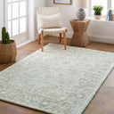 Shelby SBY-1002 Aqua / Light Gray Rug