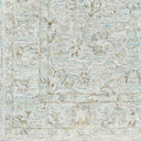 Shelby SBY-1002 Aqua / Light Gray Rug