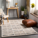 Scandi SCD-2301 Beige / Black Rug
