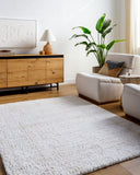 Sacramento Shag SCS-2300 Oatmeal / White Rug