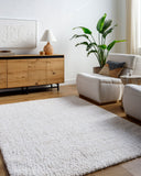 Sacramento Shag SCS-2302 Oatmeal / White Rug