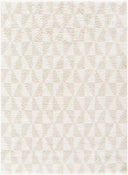Sacramento Shag SCS-2303 Oatmeal / White Rug