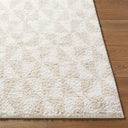 Sacramento Shag SCS-2303 Oatmeal / White Rug