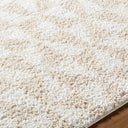 Sacramento Shag SCS-2303 Oatmeal / White Rug