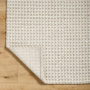 Sundance SDC-2300 Ivory / Tan Rug