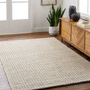 Sundance SDC-2300 Ivory / Tan Rug