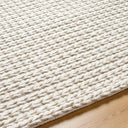 Sundance SDC-2300 Ivory / Tan Rug