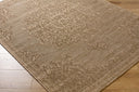 Sandra SDR-2300 Beige / Medium Brown Rug