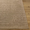 Sandra SDR-2300 Beige / Medium Brown Rug