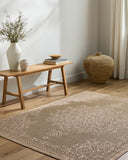 Sandra SDR-2300 Beige / Medium Brown Rug