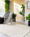 Sandra SDR-2302 Beige / Cream Rug
