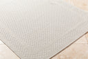 Sandra SDR-2302 Beige / Cream Rug