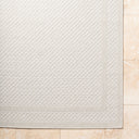 Sandra SDR-2302 Beige / Cream Rug
