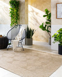 Sandra SDR-2306 Beige / Medium Brown Rug