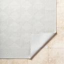 Sandra SDR-2307 Beige / Cream Rug