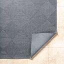 Sandra SDR-2312 Charcoal / Gray Rug