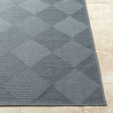 Sandra SDR-2312 Charcoal / Gray Rug