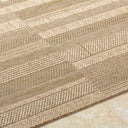 Sandra SDR-2313 Beige / Medium Brown Rug
