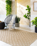 Sandra SDR-2315 Beige / Medium Brown Rug