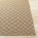 Sandra SDR-2315 Beige / Medium Brown Rug