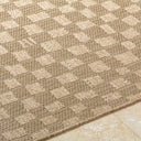 Sandra SDR-2315 Beige / Medium Brown Rug