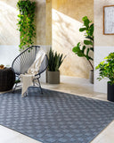 Sandra SDR-2316 Charcoal / Gray Rug