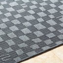 Sandra SDR-2316 Charcoal / Gray Rug