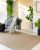 Sandra SDR-2317 Beige / Medium Brown Rug